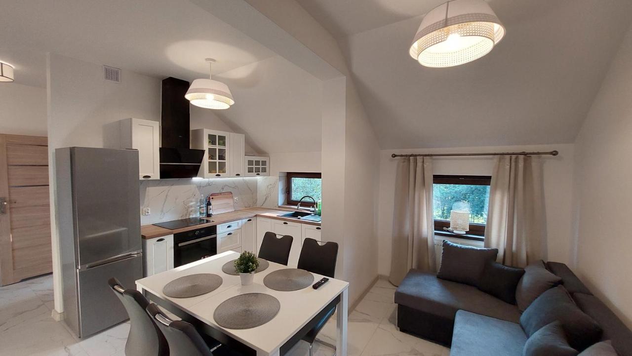 Apartamenty Starowiejska 39, Ryczow - 10Km Od Zator Energylandia מראה חיצוני תמונה